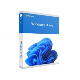 Software|MICROSOFT|Win Pro FPP 11 64-bit Eng Intl USB|Win Pro|Retail|HAV-00163