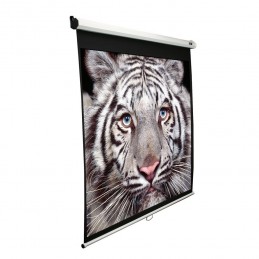 Manual Series | M136XWS1 | Diagonal 136 " | 1:1 | Viewable screen width (W) 244 cm | White