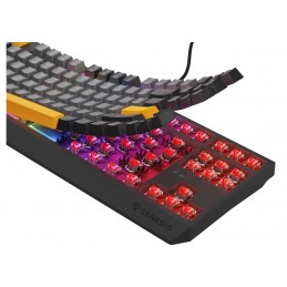 THOR 230 | Mechanical Gaming Keyboard | Wired | US | Anchor Gray Negative | USB Type-A | Outemu Red