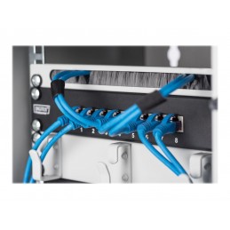 Digitus Wall-mounted housing 254 mm (10") | DN-10-09U | Grey | 31.2 x 30 cm