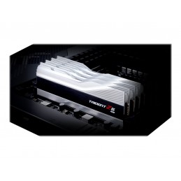 G.Skill | 32 GB | DDR5 | 5600 MHz | PC/server | Registered No | ECC No