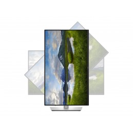 Dell P2425DE | 24 " | IPS | 16:9 | 100 Hz | 5 ms | 2560 x 1440 pixels | 350 cd/m | HDMI ports quantity 1