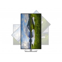 Dell P3225QE | 32 " | IPS | 4K UHD | 16:9 | 100 Hz | 5 ms | 3840 x 2160 pixels | 350 cd/m | HDMI ports quantity 1