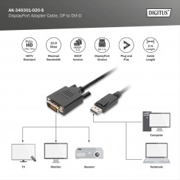Digitus Adapter Cable, DP - DVI | DisplayPort | 2 m
