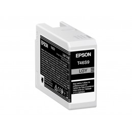 Epson UltraChrome Pro 10 ink | T46S9 | Ink cartrige | Light Gray