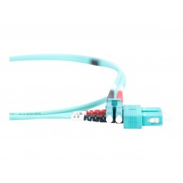 Digitus