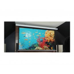 Elite Screens