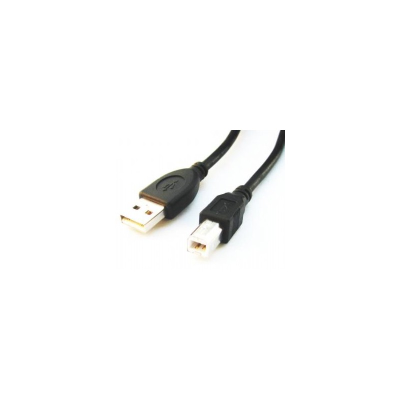 Cablexpert | CCP-USB2-AMBM-6 | USB-A to USB-B USB A | USB B
