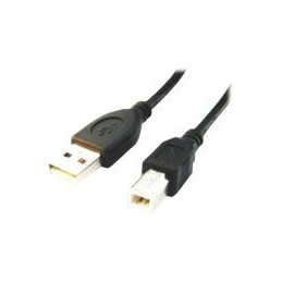 Cablexpert | CCP-USB2-AMBM-6 | USB-A to USB-B USB A | USB B