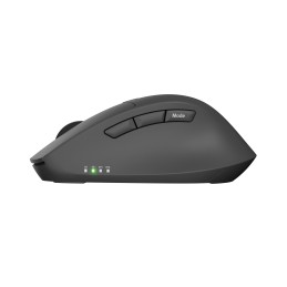Natec Kite | Wireless | Bluetooth, 2.4GHz | Black