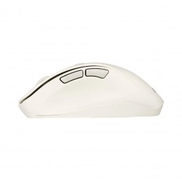 Asus Mouse | MD105 | Wireless | Bluetooth, 2.4GHz | Milky White