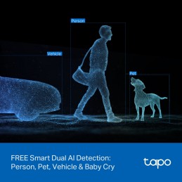 TP-LINK Tapo C245D | Dual Lens Pan/Tilt Security Camera | Dome | 3 MP | 3.1mm/F1.6 | MicroSD Card up to 512 GB