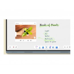 Benq RM7504 | Interactive Flat Panel | 75 " | 450 cd/m | Landscape | Android | Wi-Fi | 50000:1 | 8 ms