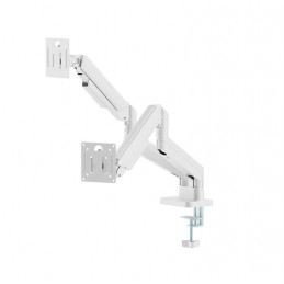 DISPLAY ACC MOUNTING ARM/DBL 17-32" MA-DA2-06-W GEMBIRD