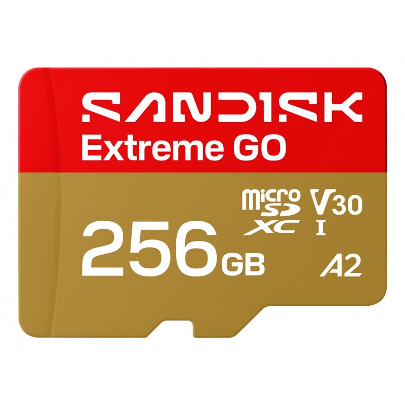 MEMORY MICRO SDXC 256GB UHS-I/SDSQXGN-256G-GN6MN SANDISK