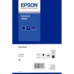 Epson SureLab Photo Paper C13S400209 Glossy, 400, 10 x 15 cm, 250 g/m 