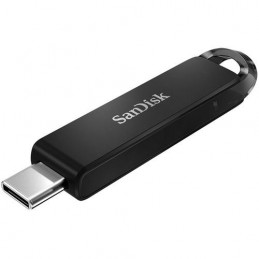MEMORY DRIVE FLASH USB-C 256GB/SDCZ460-256G-G46 SANDISK
