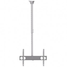 Sunne | Ceiling mount | PL-C62 | Tilt | 37-70 " | Maximum weight (capacity) 50 kg | Silver