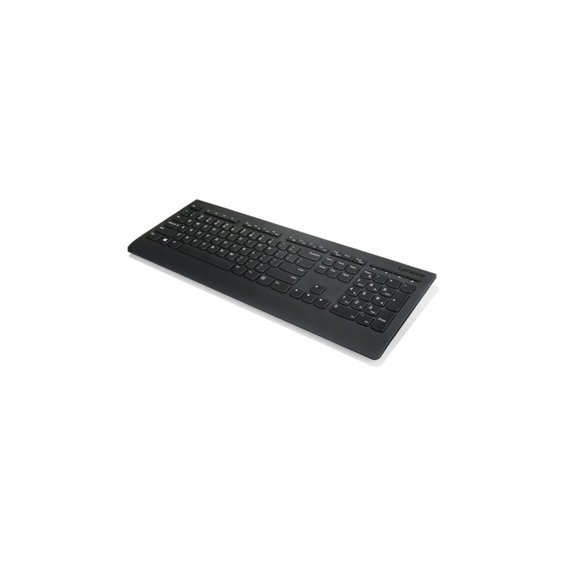 Lenovo | Professional | Professional Wireless Keyboard - US English with Euro symbol | Standard | Wireless | US | Black | Englis