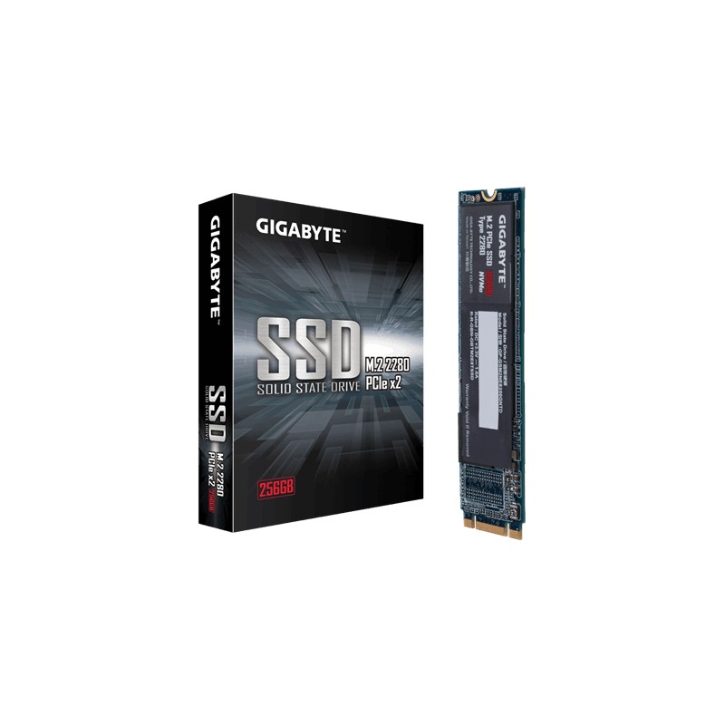 Gigabyte | GP-GSM2NE8256GNTD | 256 GB | SSD interface M.2 NVME | Read speed 1200 MB/s | Write speed 800 MB/s