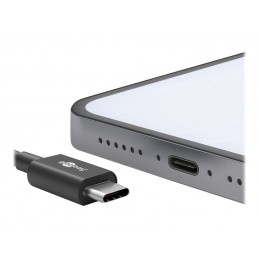 Goobay | 59124 | USB-C male | USB 2.0 male (type A)