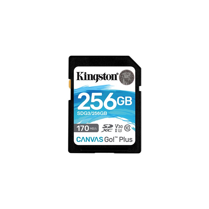 Kingston | Canvas Go! Plus | 256 GB | Flash memory class 10