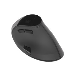 Natec | Vertical Mouse | Euphonie | Wireless | Bluetooth/USB Nano Receiver | Black