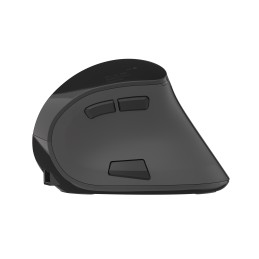 Natec | Vertical Mouse | Euphonie | Wireless | Bluetooth/USB Nano Receiver | Black