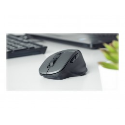 Natec Mouse, BlackBird 2, Silent, Wireless, 1600 DPI, Optical, Black | Natec | Mouse | Optical | Wireless | Black/Gray | BlackBi