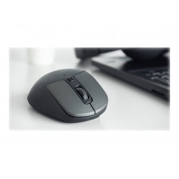 Natec Mouse, BlackBird 2, Silent, Wireless, 1600 DPI, Optical, Black | Natec | Mouse | Optical | Wireless | Black/Gray | BlackBi