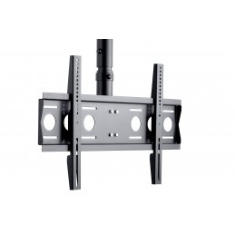 EDBAK | Ceiling mount | CMS21 | 40-75 " | Maximum weight (capacity) 60 kg | Black