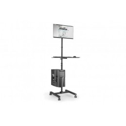 Digitus | Mobile workstation with individual height adjustment | DA-90374 | Monitor Mount, PC Holder | 17-32 " | Black