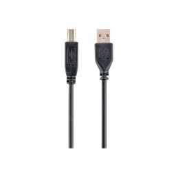 Cablexpert | CCP-USB2-AMBM-6 | USB-A to USB-B USB A | USB B